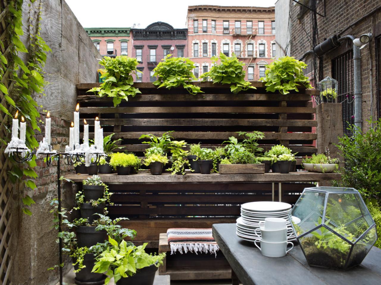 Urban Gardening Tips for Small Spaces